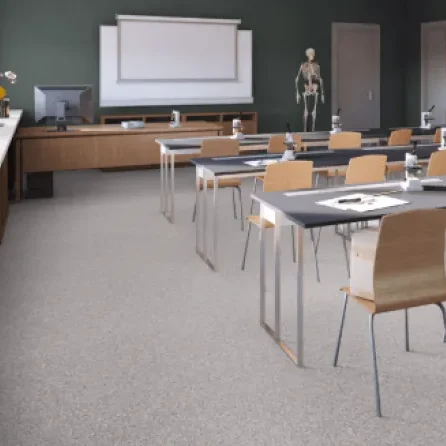 Линолеум Tarkett iQ MONOLIT